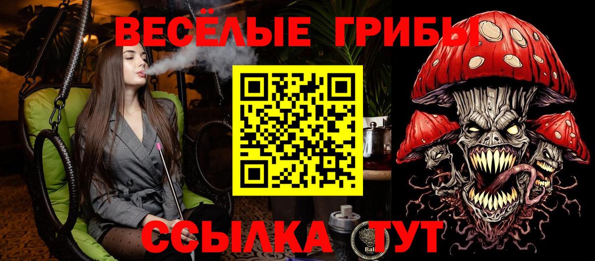 Галлюциногенные грибы Psilocybine cubensis Ханты-Мансийск